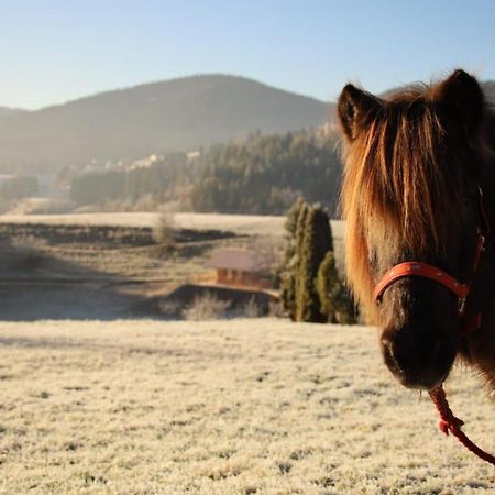 S'Heimatgfuehl Villa Schwarzenberg  Bagian luar foto