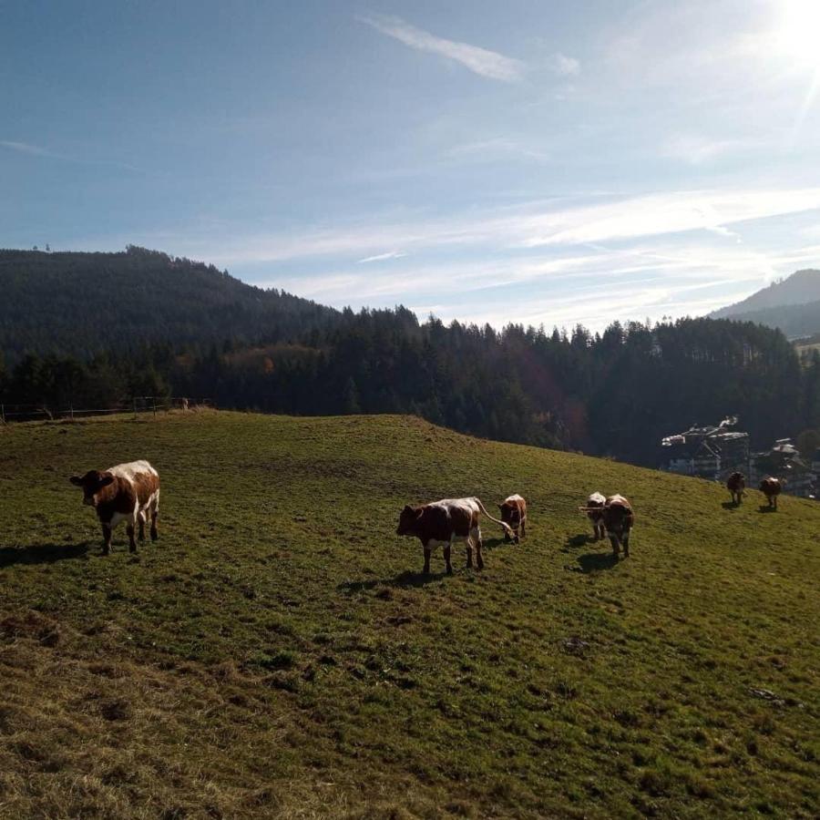 S'Heimatgfuehl Villa Schwarzenberg  Bagian luar foto